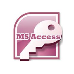 MS Access sql Custom Database Software Bella Vista AR